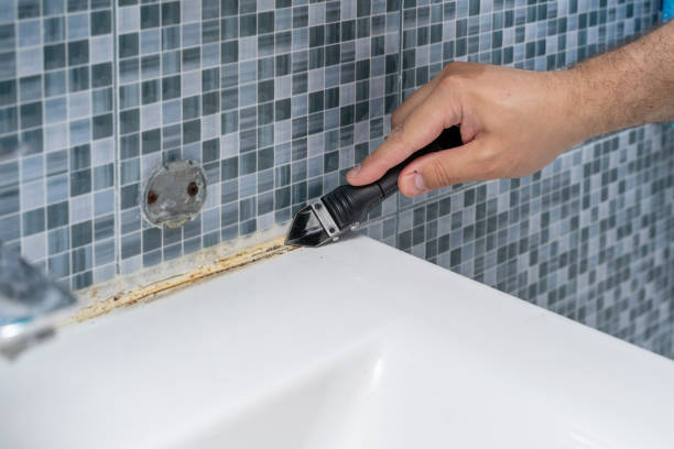 Best Home Mold Removal  in Hemet, CA